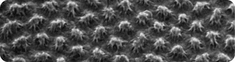 Nanotechnology sample 1